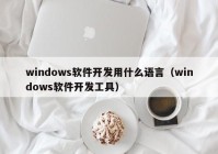 windows软件开发用什么语言（windows软件开发工具）