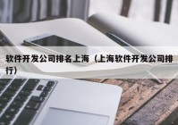 软件开发公司排名上海（上海软件开发公司排行）