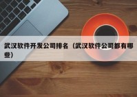 武汉软件开发公司排名（武汉软件公司都有哪些）