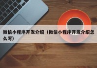 微信小程序开发介绍（微信小程序开发介绍怎么写）