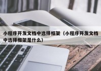 小程序开发文档中选择框架（小程序开发文档中选择框架是什么）