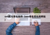 seo优化排名软件（seo排名优化的网站）