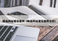 精品网站建设案例（精品网站建设案例分析）